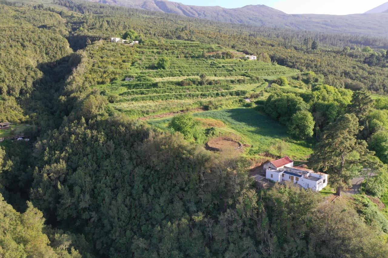 El Pino Centenario 8 La Orotava Bagian luar foto