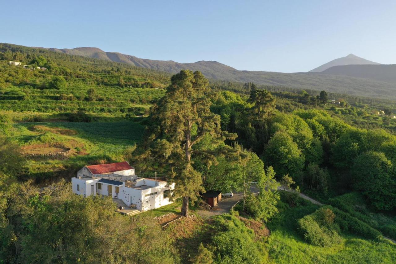 El Pino Centenario 8 La Orotava Bagian luar foto